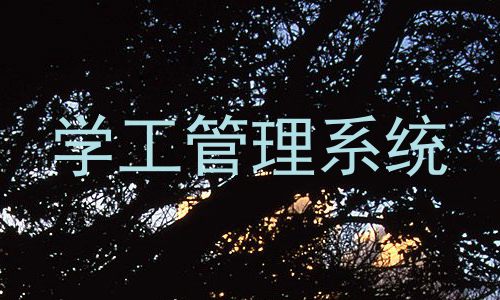 学工管理系统