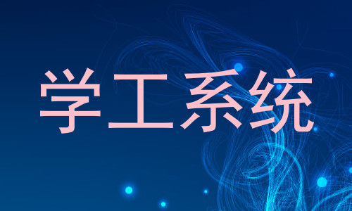 学工系统