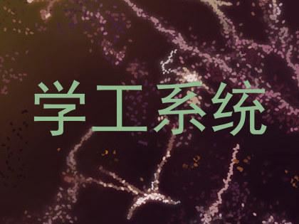 学工系统
