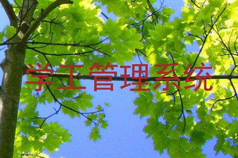 学工管理系统