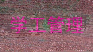 学工管理