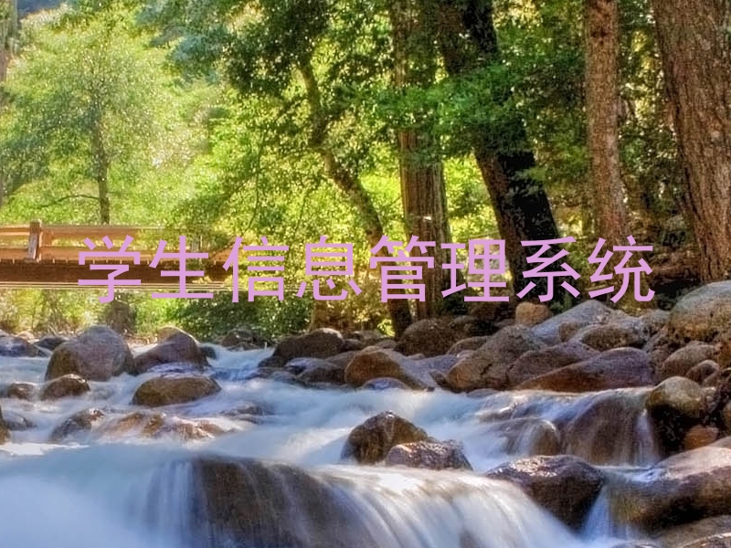 学生信息管理系统