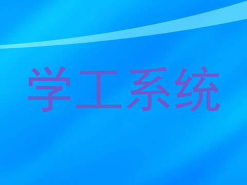 学工系统