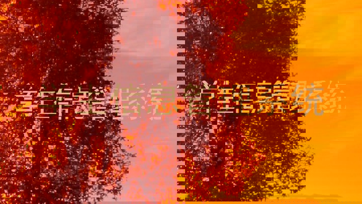 学生信息管理系统