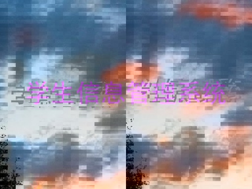 学生信息管理系统