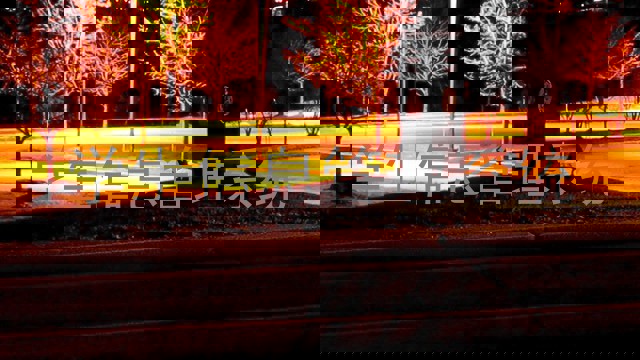 学生工作管理系统