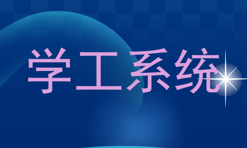 学工系统