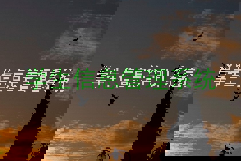 学生信息管理系统