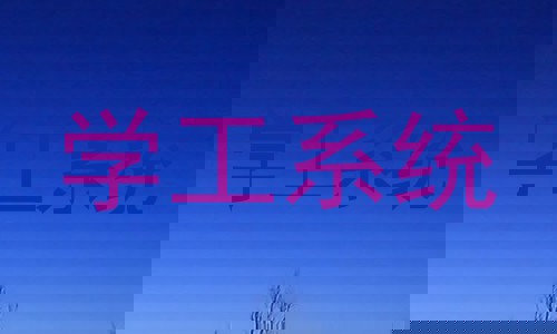 学工系统