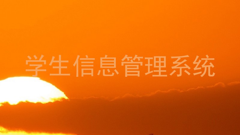 学生信息管理系统