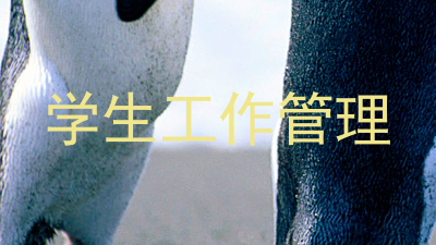 学生工作管理