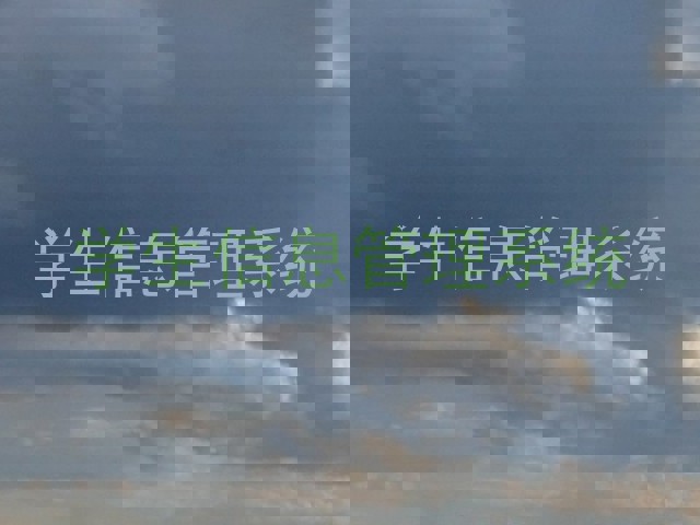 学生信息管理系统