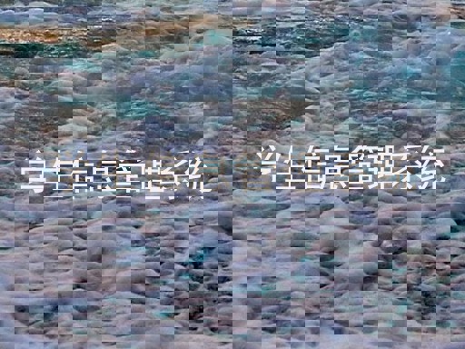 学生信息管理系统