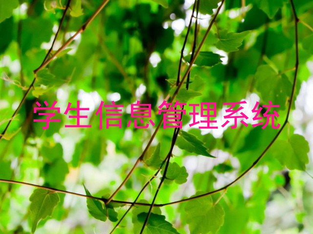 学生信息管理系统