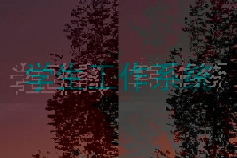 学生工作系统