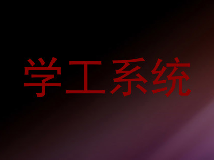 学工系统
