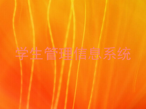 学生管理信息系统