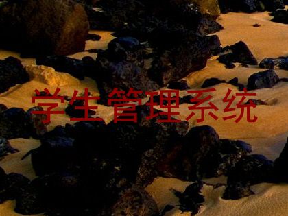 学生管理系统