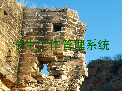 学生工作管理系统