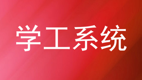 学工系统