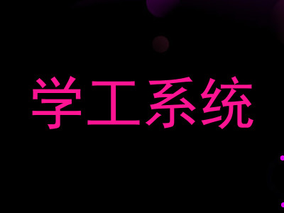 学工系统