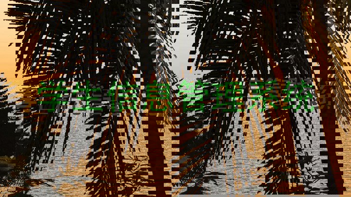 学生信息管理系统