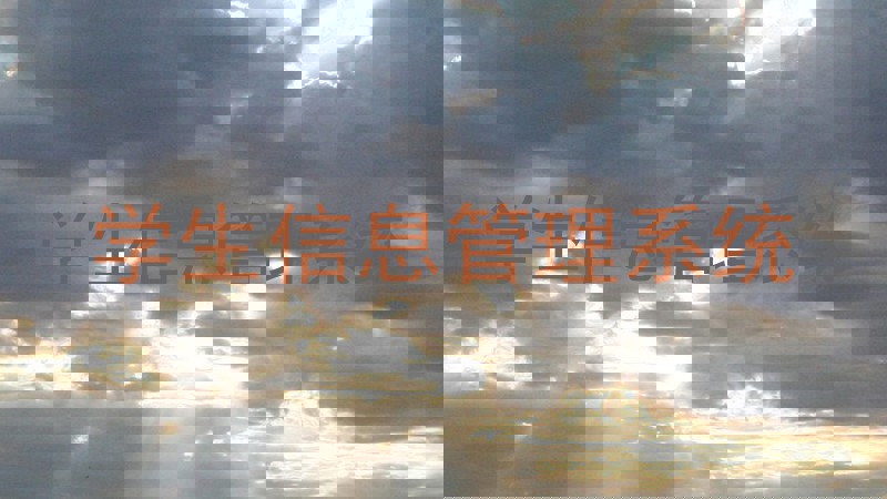 学生管理信息系统