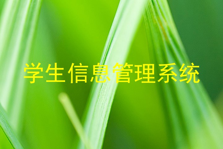 学生信息管理系统