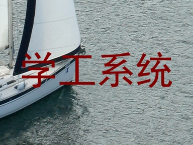 学工系统