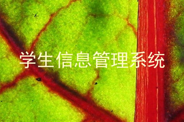 学生信息管理系统