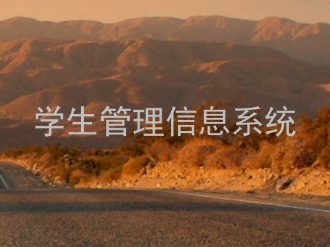 学生管理信息系统