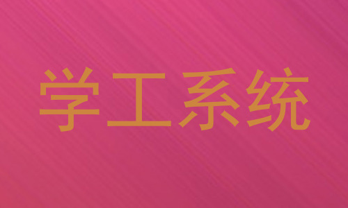 学工系统