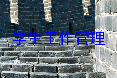 学生工作管理