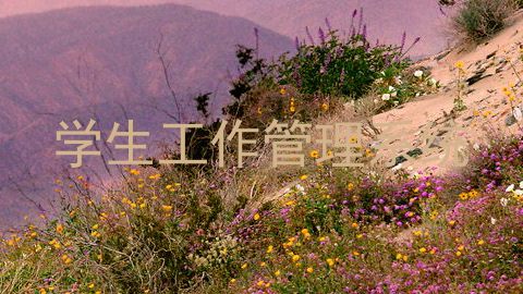 学生工作管理系统