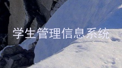 学生管理信息系统