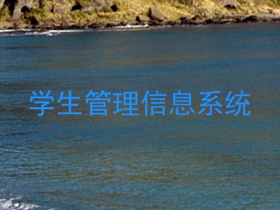 学生管理信息系统