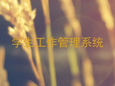 学生工作管理系统