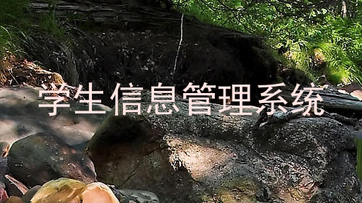 学生信息管理系统