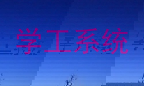 学工系统