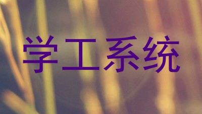 学工系统