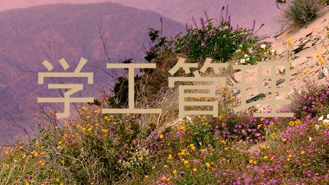 学工管理