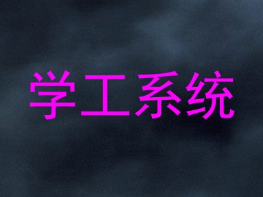 学工系统