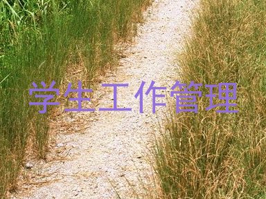 学生工作管理