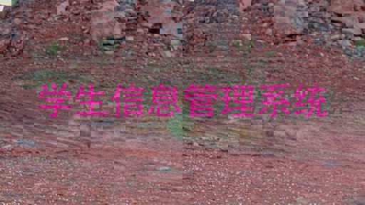 学生信息管理系统