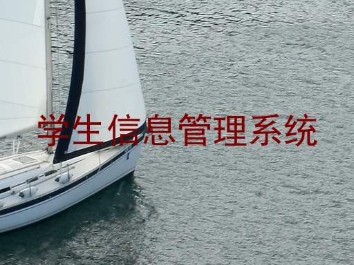 学生管理信息系统