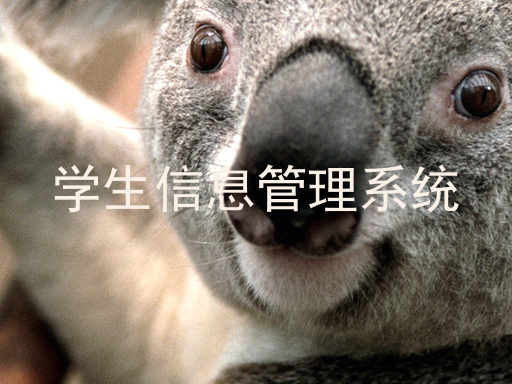 学生信息管理系统