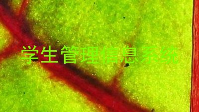 学生管理信息系统