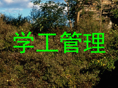 学工管理