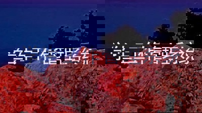 学生工作管理系统