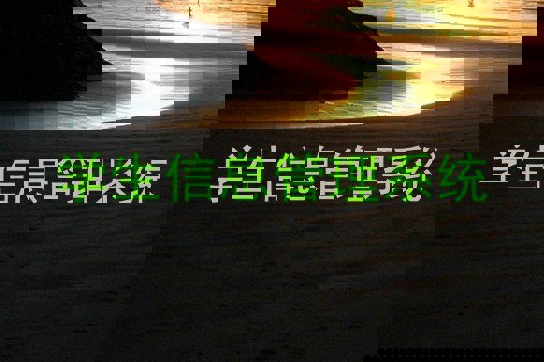 学生信息管理系统